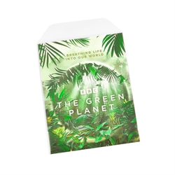 Pochette DVD biodégradable avec espace pour pochette DVD - 100 pcs.